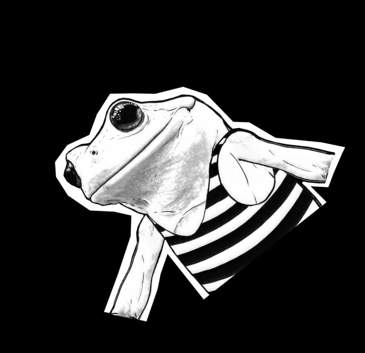 Frog image