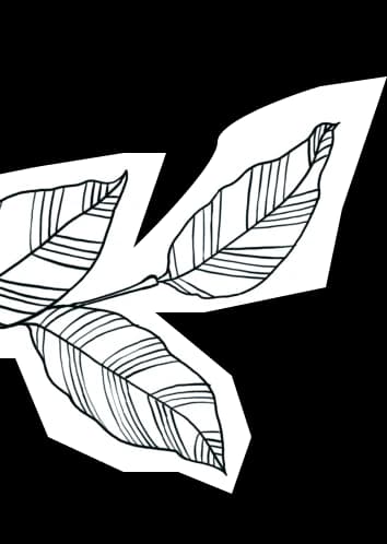 Leaf