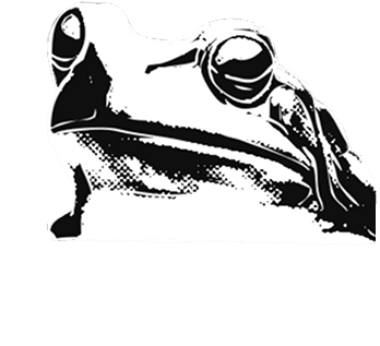 Frog face
